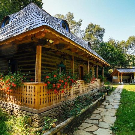 Casa Lu' Ion Βίλα Vişeu de Sus Εξωτερικό φωτογραφία