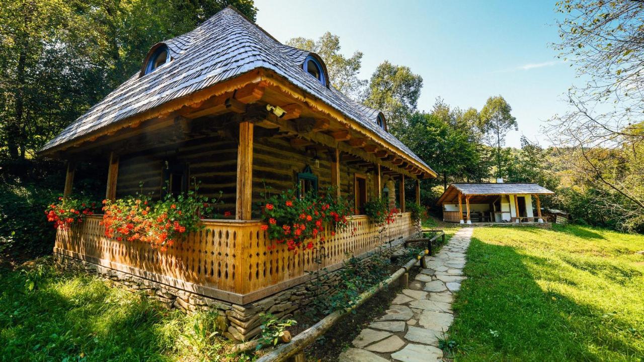 Casa Lu' Ion Βίλα Vişeu de Sus Εξωτερικό φωτογραφία