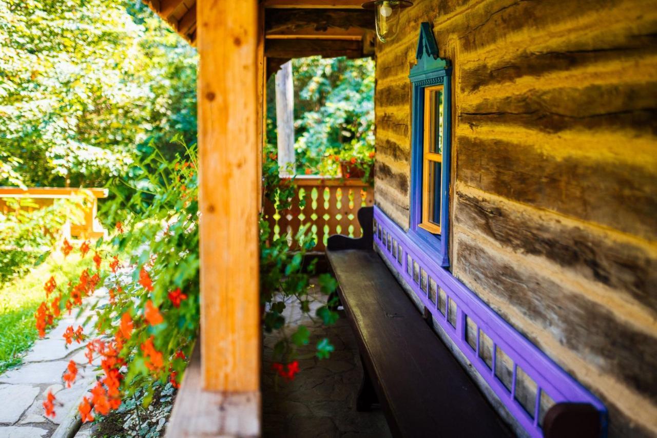 Casa Lu' Ion Βίλα Vişeu de Sus Εξωτερικό φωτογραφία