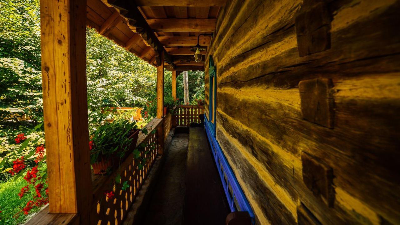 Casa Lu' Ion Βίλα Vişeu de Sus Εξωτερικό φωτογραφία