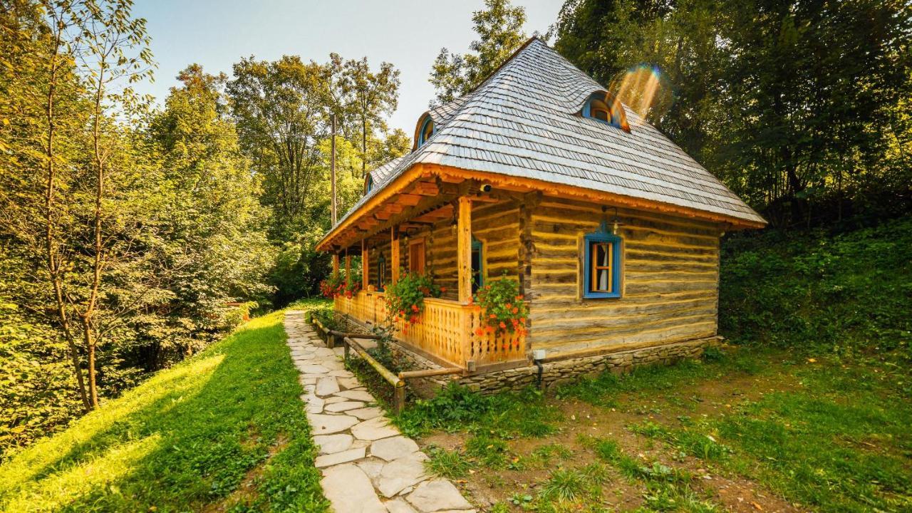 Casa Lu' Ion Βίλα Vişeu de Sus Εξωτερικό φωτογραφία