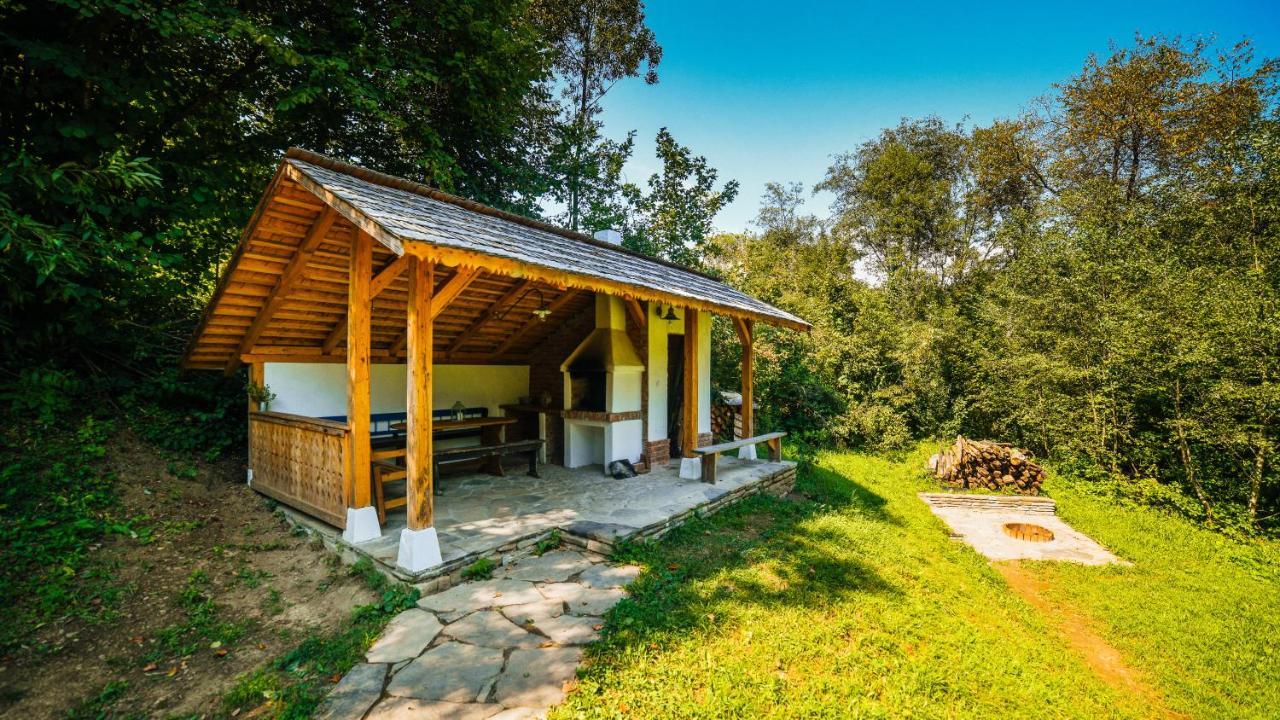 Casa Lu' Ion Βίλα Vişeu de Sus Εξωτερικό φωτογραφία