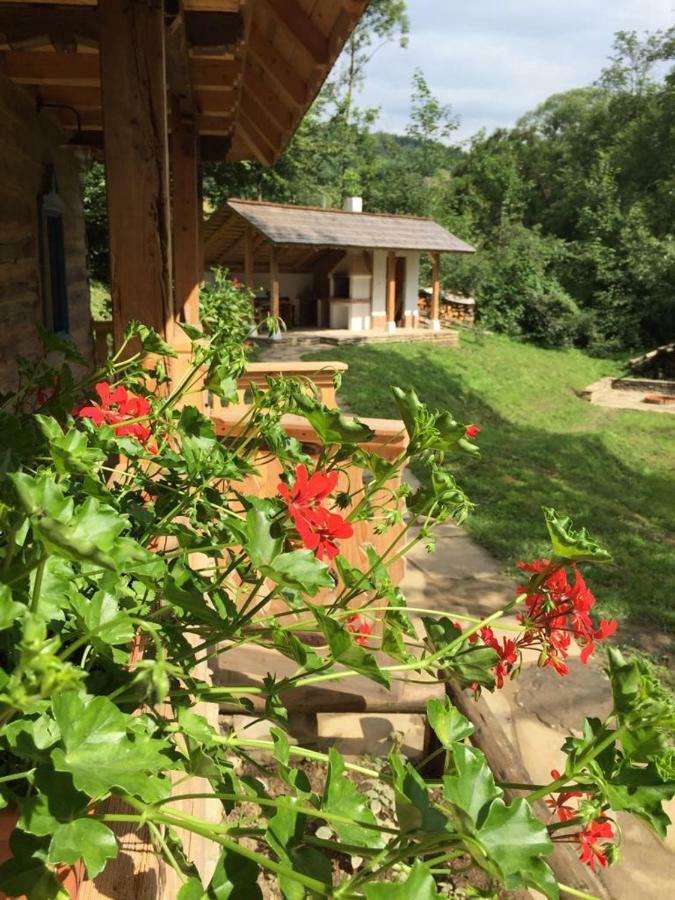 Casa Lu' Ion Βίλα Vişeu de Sus Εξωτερικό φωτογραφία