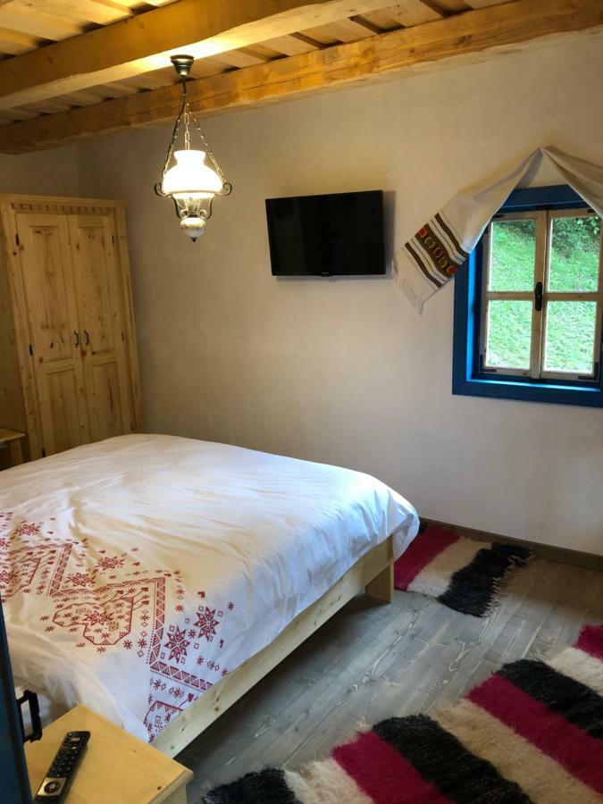 Casa Lu' Ion Βίλα Vişeu de Sus Εξωτερικό φωτογραφία